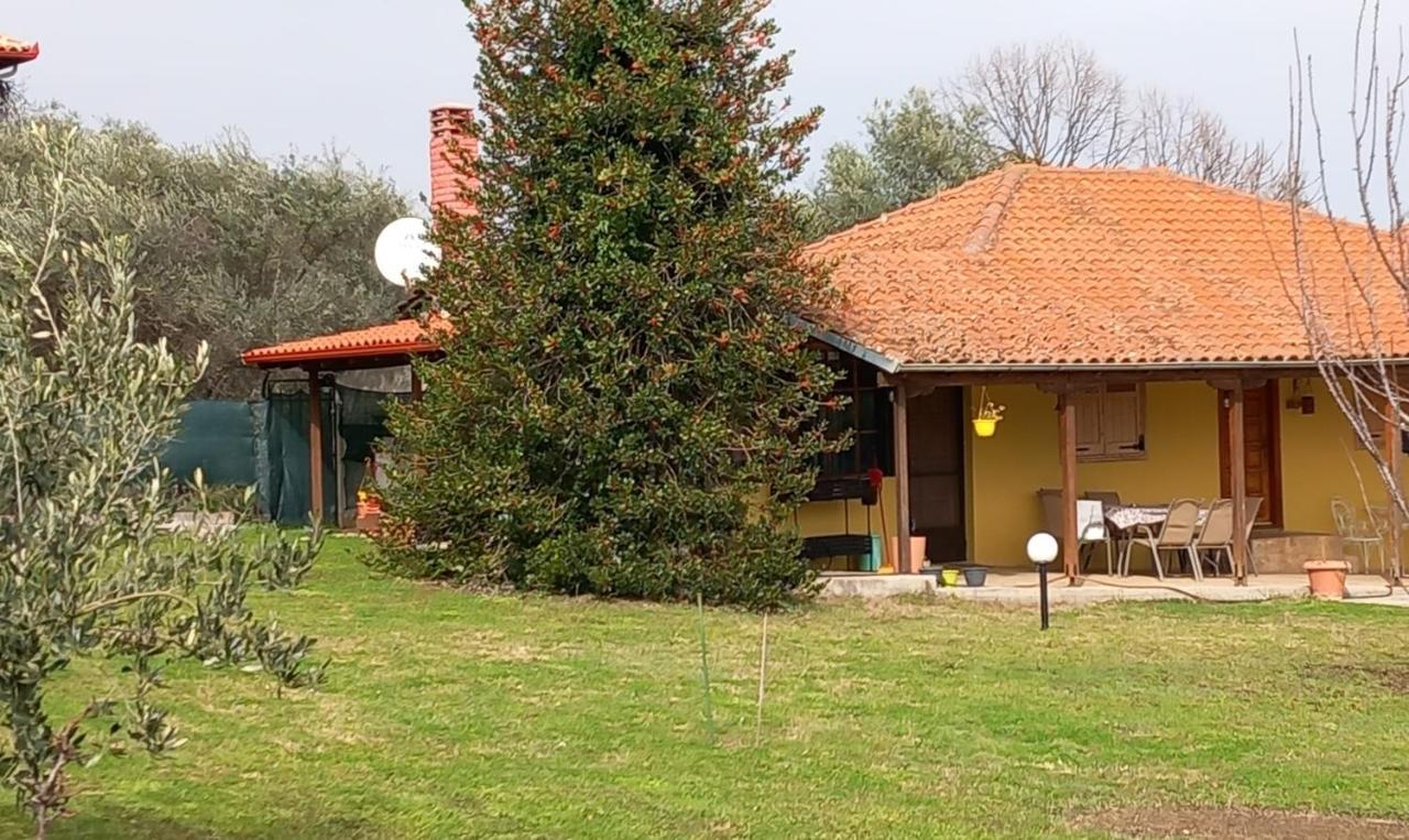 Holiday home Olympos House Litochoro